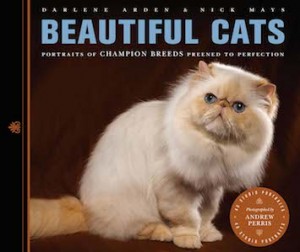 Beautiful Cats Cover